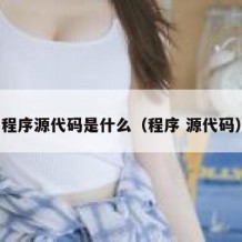 程序源代码是什么（程序 源代码）