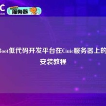 JeecgBoot低代码开发平台在Ciuic服务器上的部署安装教程