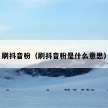 刷抖音粉（刷抖音粉是什么意思）