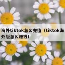 海外tiktok怎么充值（tiktok海外版怎么赚钱）