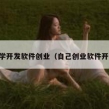自学开发软件创业（自己创业软件开发）