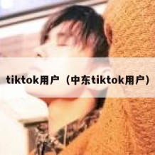 tiktok用户（中东tiktok用户）
