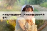 开源软件符合信创吗（开源软件符合信创吗安全吗）