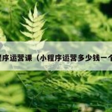 小程序运营课（小程序运营多少钱一个月）