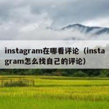 instagram在哪看评论（instagram怎么找自己的评论）