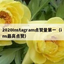 2020Instagram点赞量第一（ins最高点赞）