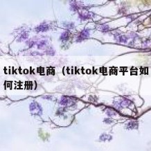 tiktok电商（tiktok电商平台如何注册）