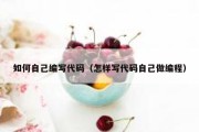 如何自己编写代码（怎样写代码自己做编程）