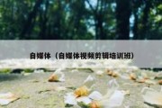 自媒体（自媒体视频剪辑培训班）