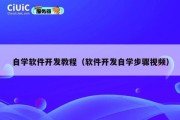 自学软件开发教程（软件开发自学步骤视频）