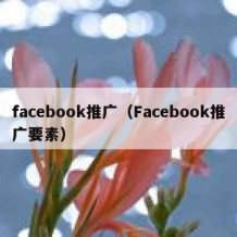 facebook推广（Facebook推广要素）
