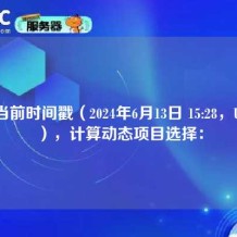 根据当前时间戳（2024年6月13日 15:28，UTC+8），计算动态项目选择：