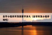 自学小程序开发需要学多久（自学开发小程序难吗）