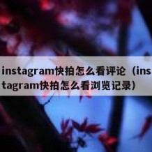 instagram快拍怎么看评论（instagram快拍怎么看浏览记录）