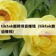 tiktok搬砖项目赚钱（tiktok搬运赚钱）