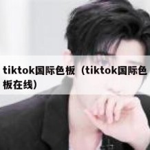 tiktok国际色板（tiktok国际色板在线）