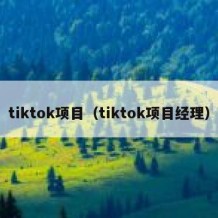 tiktok项目（tiktok项目经理）
