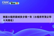 微盟小程序商城多少钱一年（小程序开发公司十大排名）
