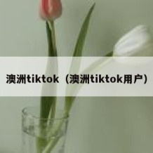 澳洲tiktok（澳洲tiktok用户）