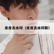 皮皮去水印（皮皮去水印新）