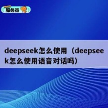 deepseek怎么使用（deepseek怎么使用语音对话吗）