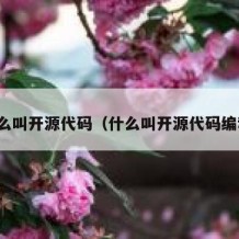 什么叫开源代码（什么叫开源代码编程）