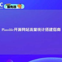 Plausible开源网站流量统计搭建指南