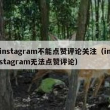 instagram不能点赞评论关注（instagram无法点赞评论）