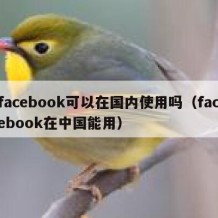 facebook可以在国内使用吗（facebook在中国能用）