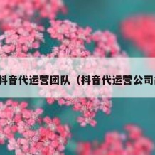 金华抖音代运营团队（抖音代运营公司简介）