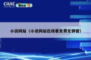 小说网站（小说网站在线看免费无弹窗）