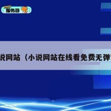 小说网站（小说网站在线看免费无弹窗）