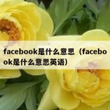 facebook是什么意思（facebook是什么意思英语）