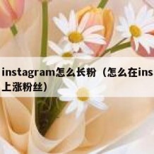 instagram怎么长粉（怎么在ins上涨粉丝）
