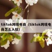 tiktok跨境电商（tiktok跨境电商怎么入驻）