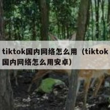 tiktok国内网络怎么用（tiktok国内网络怎么用安卓）