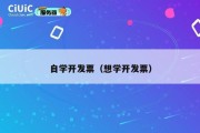 自学开发票（想学开发票）
