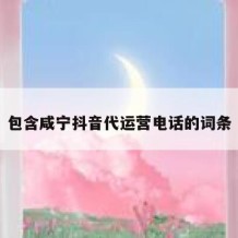 包含咸宁抖音代运营电话的词条