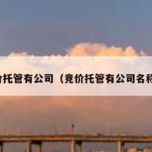 竞价托管有公司（竞价托管有公司名称吗）