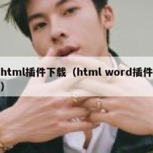 html插件下载（html word插件）