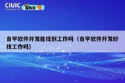 自学软件开发能找到工作吗（自学软件开发好找工作吗）