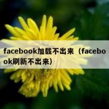 facebook加载不出来（facebook刷新不出来）