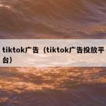 tiktok广告（tiktok广告投放平台）