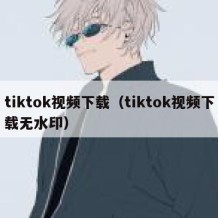 tiktok视频下载（tiktok视频下载无水印）