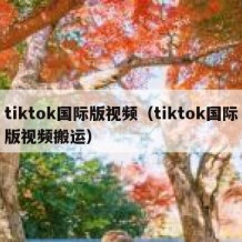 tiktok国际版视频（tiktok国际版视频搬运）