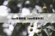 app搭建教程（app搭建软件）