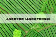 小程序开发教程（小程序开发教程视频）