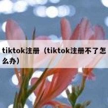 tiktok注册（tiktok注册不了怎么办）