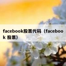 facebook股票代码（facebook 股票）