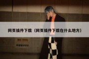 网页插件下载（网页插件下载在什么地方）